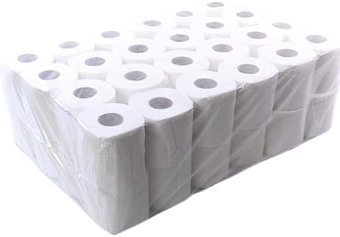2 Ply Toilet Paper pack of 48 (350 sheets)